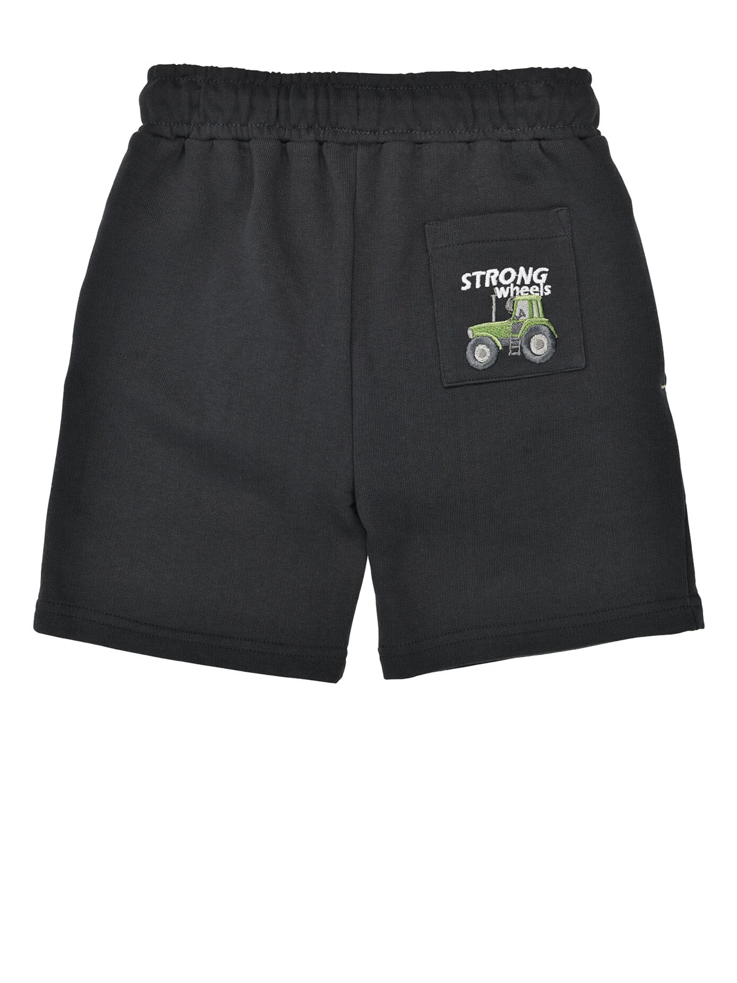 BONDI Regular Pants in Grey