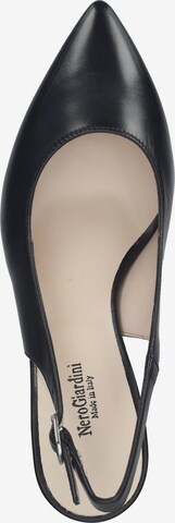 Nero Giardini Pumps in Schwarz