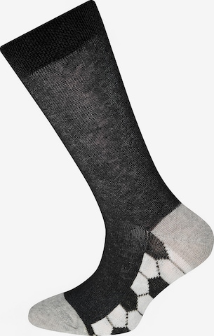 Regular Chaussettes EWERS en gris