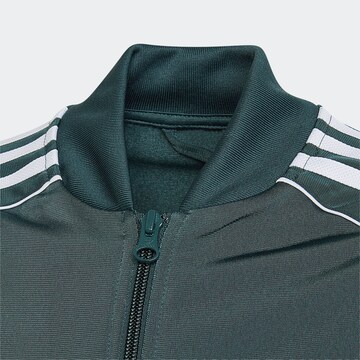 ADIDAS ORIGINALS Regular Zip-Up Hoodie 'Adicolor Sst' in Green