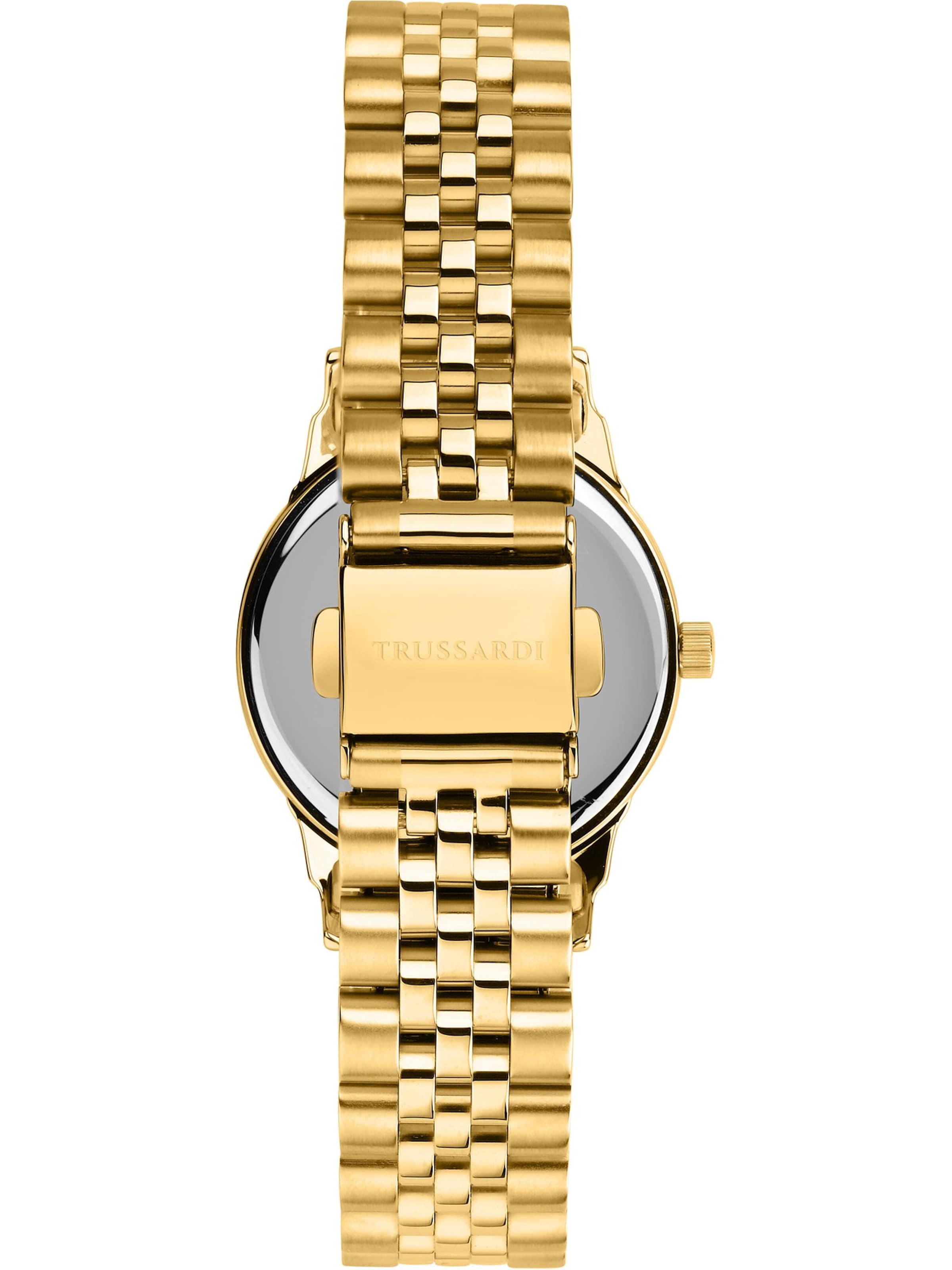 Trussardi Analog Watch in Gold