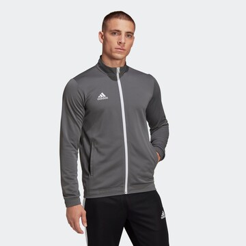 Vestes d’entraînement 'Entrada 22' ADIDAS SPORTSWEAR en gris : devant