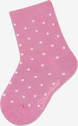 STERNTALER Socks in Mixed colors