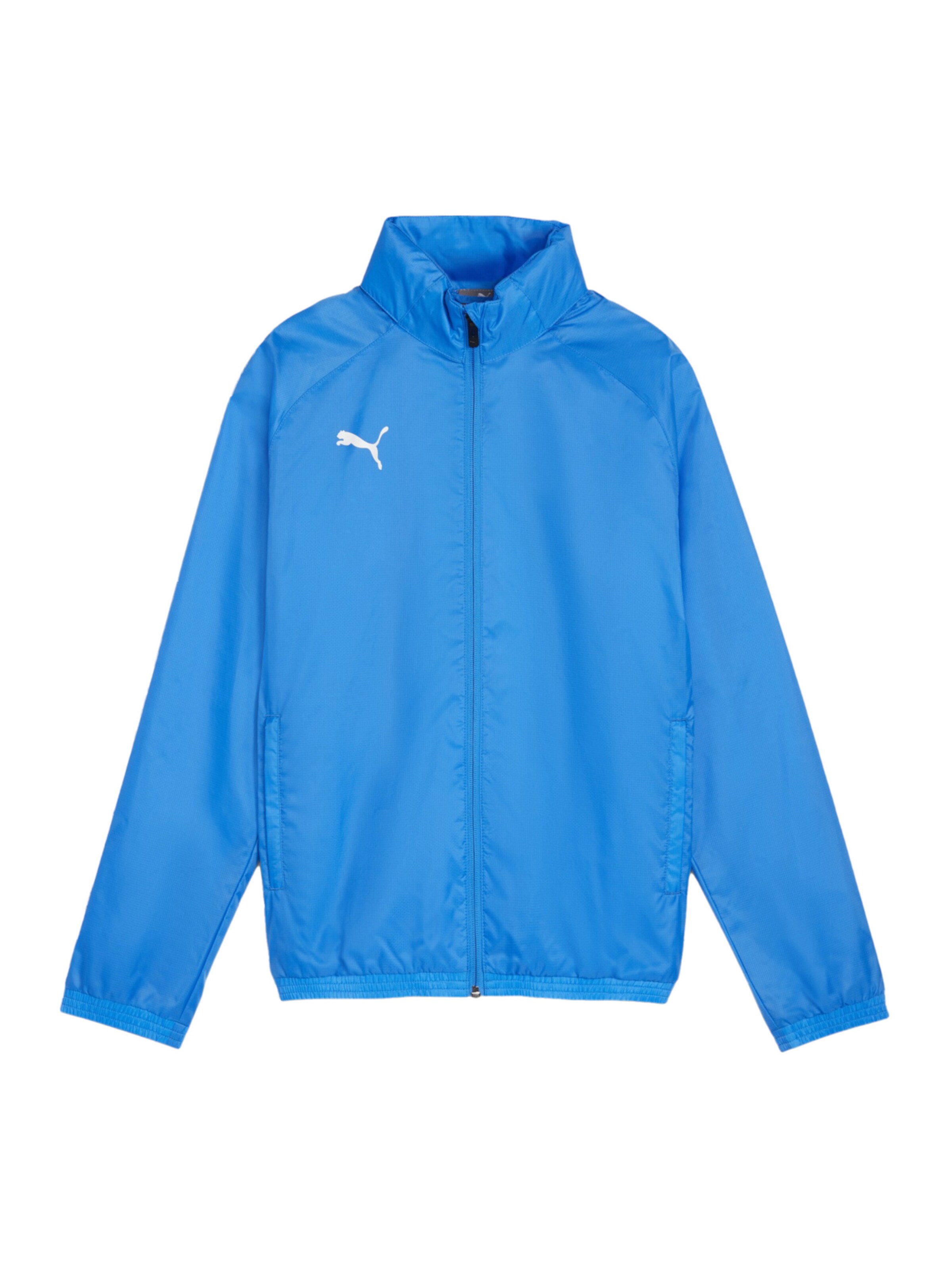 PUMA Sportjacke 'TeamGOAL' in Blau: Vorderseite