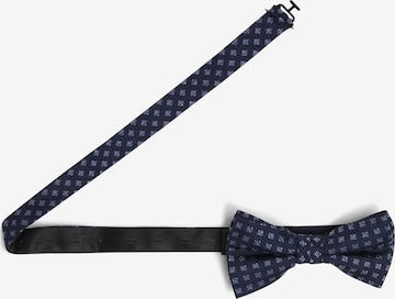 Andrew James Bow Tie in Blue