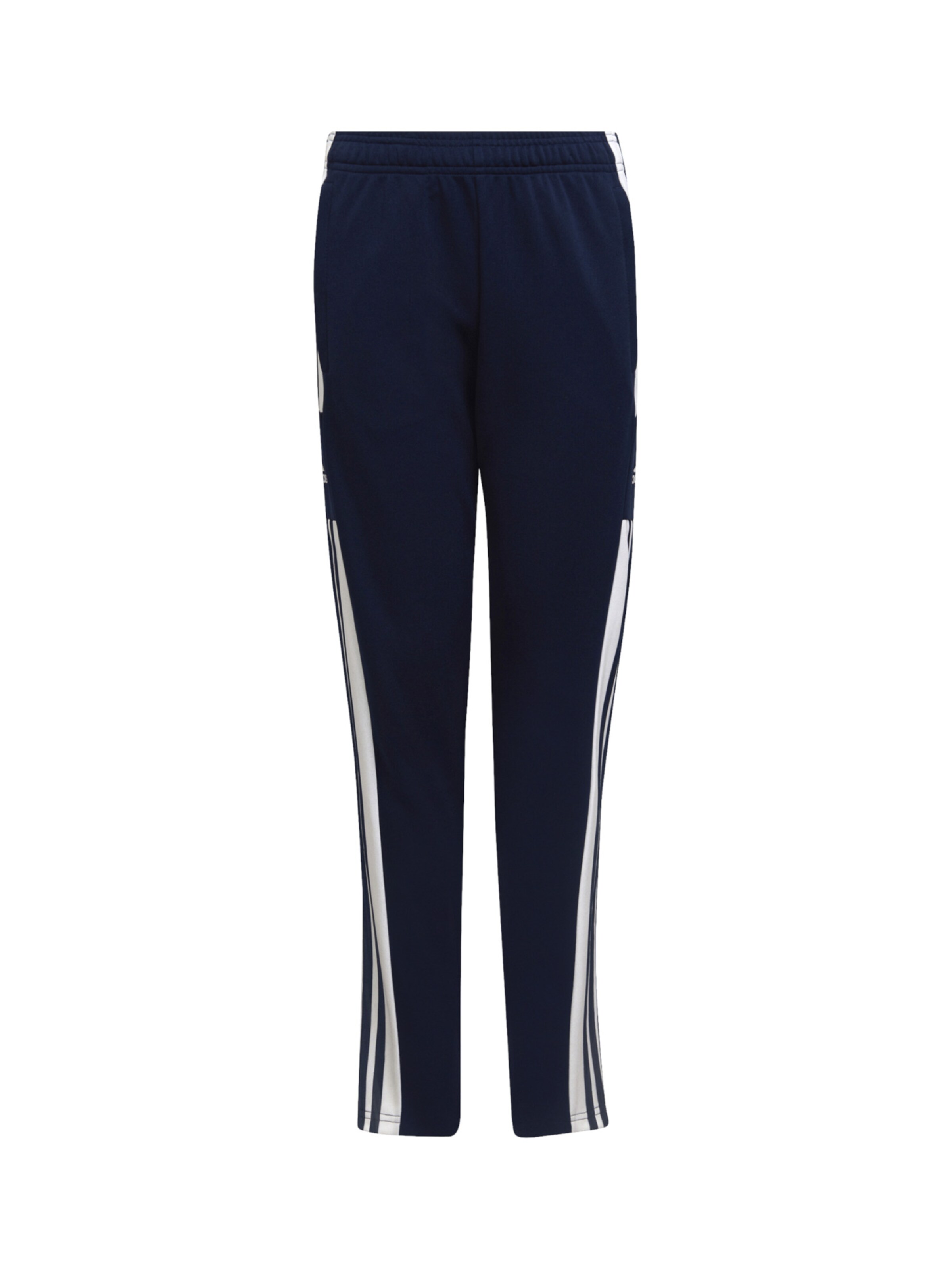 ADIDAS PERFORMANCE Regular Sporthose 'Squadra' in Blau: Vorderseite