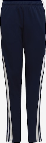 ADIDAS PERFORMANCE Regular Workout Pants 'Squadra' in Blue: front