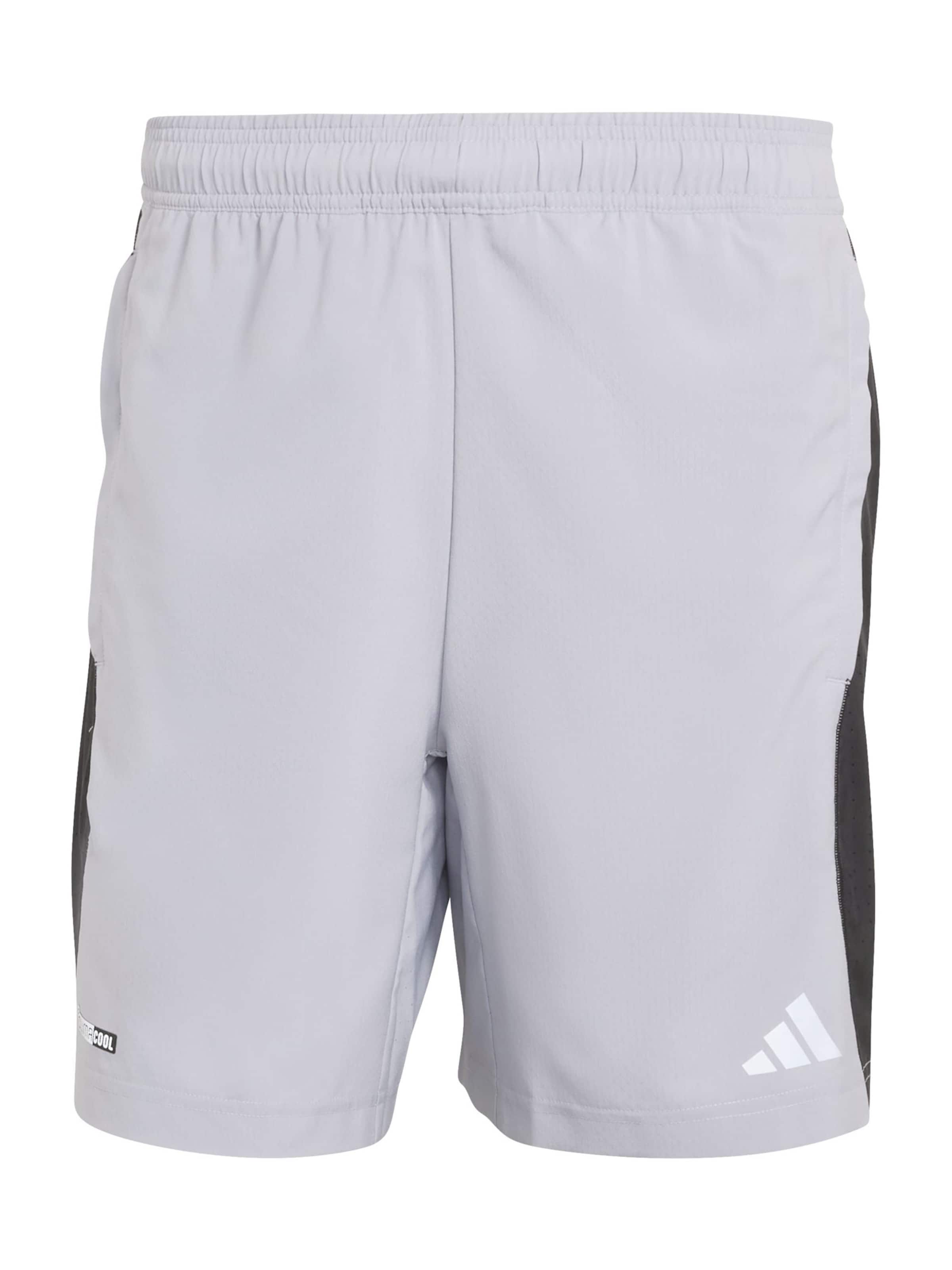 ADIDAS PERFORMANCE - regular Pantalón deportivo en plata: frente