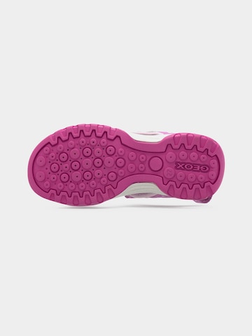 GEOX Σανδάλι 'BOREALIS' σε ροζ