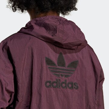 ADIDAS ORIGINALS Jacke 'Adicolor Classics Plush ' in Lila