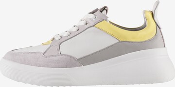 Högl Sneakers 'RAINBOW' in Grey: front