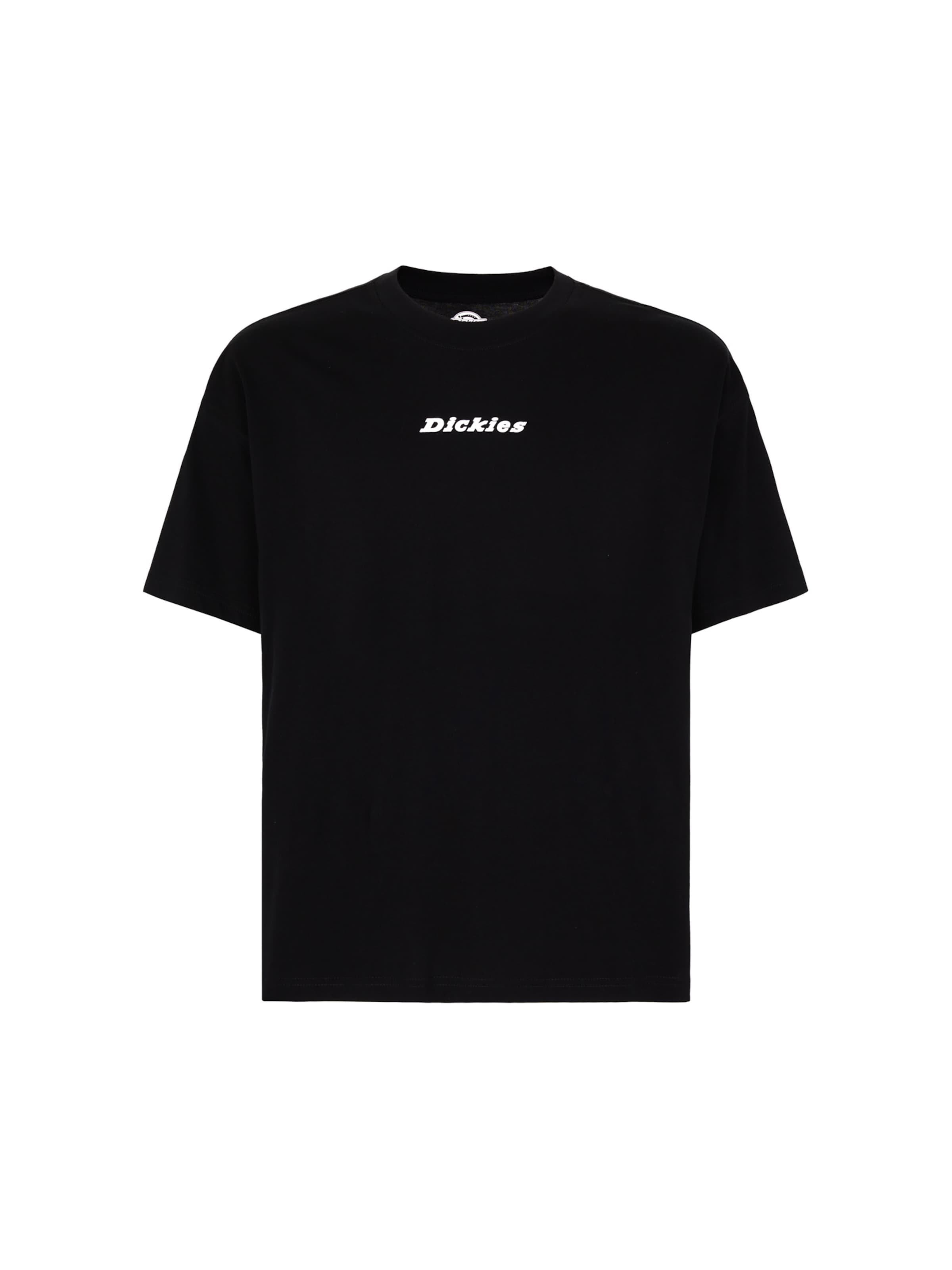 DICKIES Μπλουζάκι 'ENTERPRISE' σε μαύρο: μπροστά