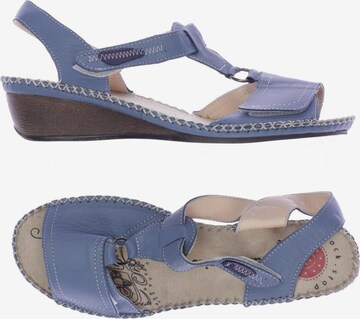 HUSH PUPPIES Sandals & High-Heeled Sandals in 40 in Blue: front