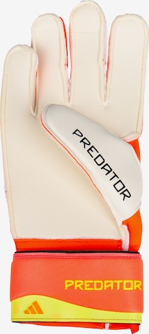 Gants de sport 'Predator Match' ADIDAS PERFORMANCE en orange