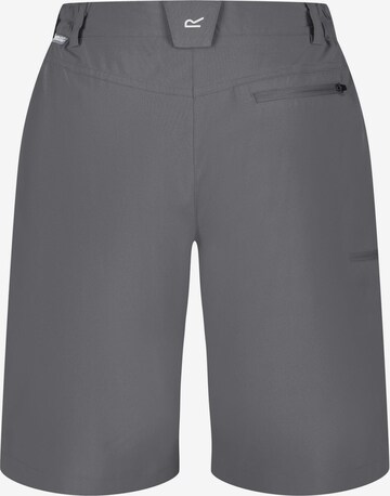 REGATTA Regular Outdoor Pants 'Xert it' in Grey