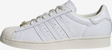 ADIDAS ORIGINALS - Sapatilhas baixas 'Superstar' em branco: frente