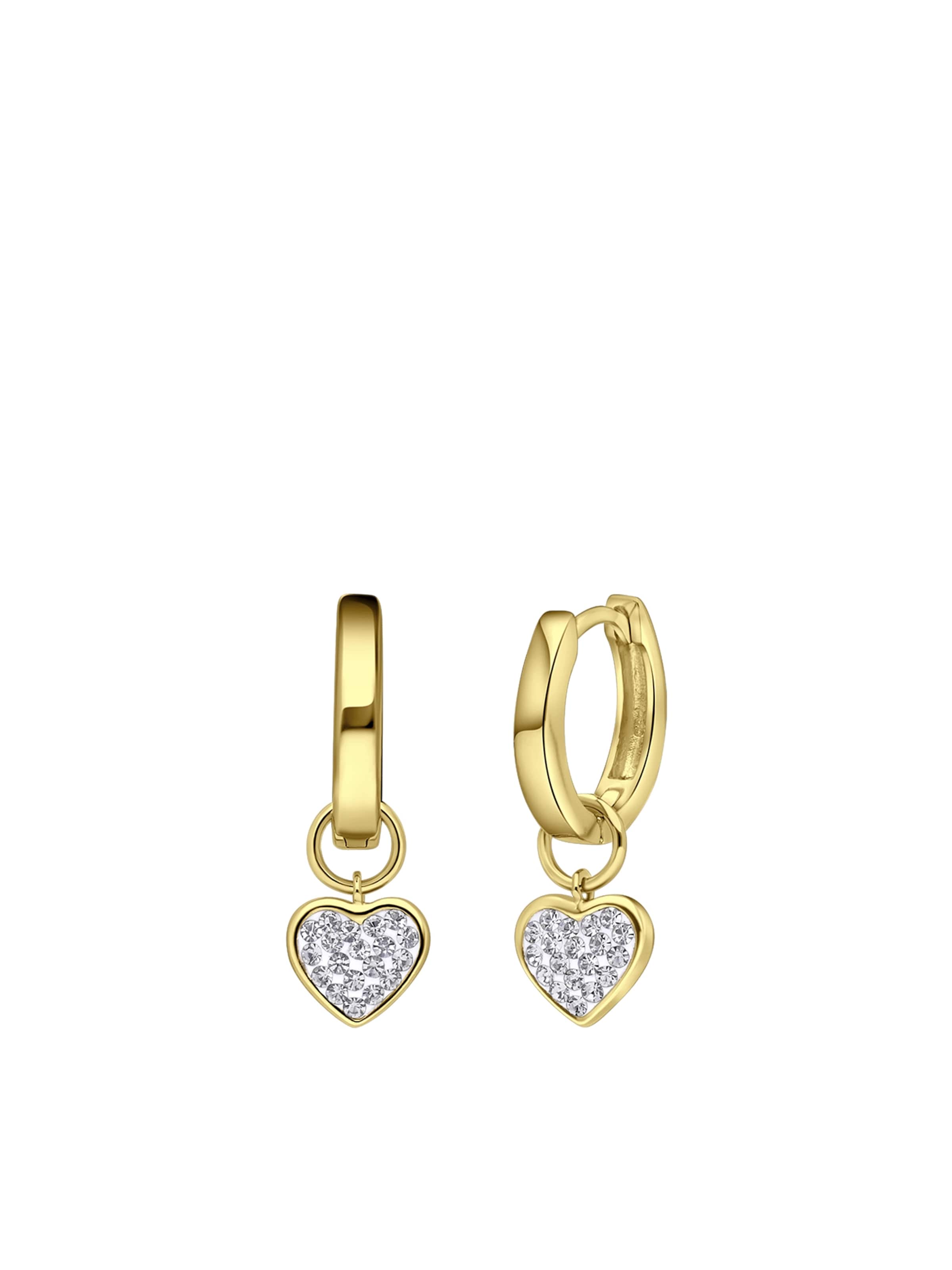 Lucardi Oorbellen in Goud: voorkant