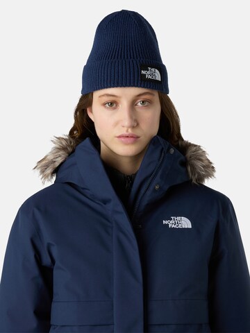 THE NORTH FACE Шапка в Синий