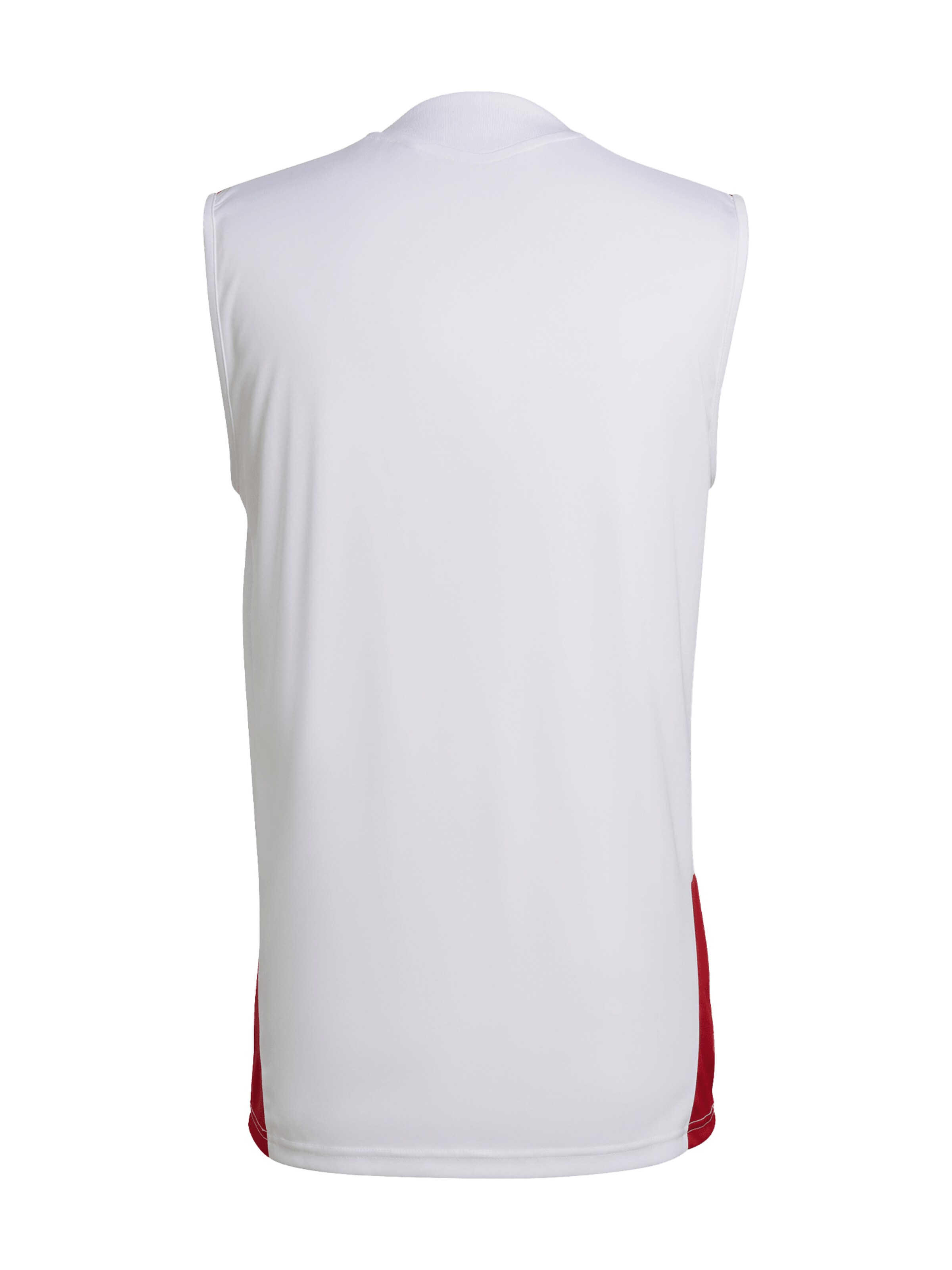 ADIDAS PERFORMANCE Tanktop DFB Home in Weiß