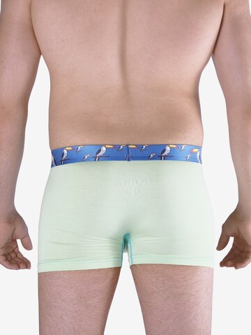 UNABUX Boxer shorts 'Tucan Dandy' in Green