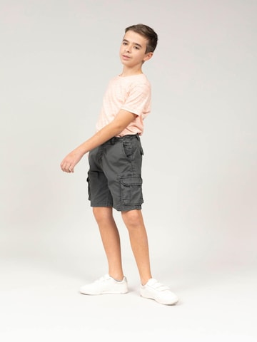 Loosefit Pantalon 'Slog' Deeluxe en gris : devant