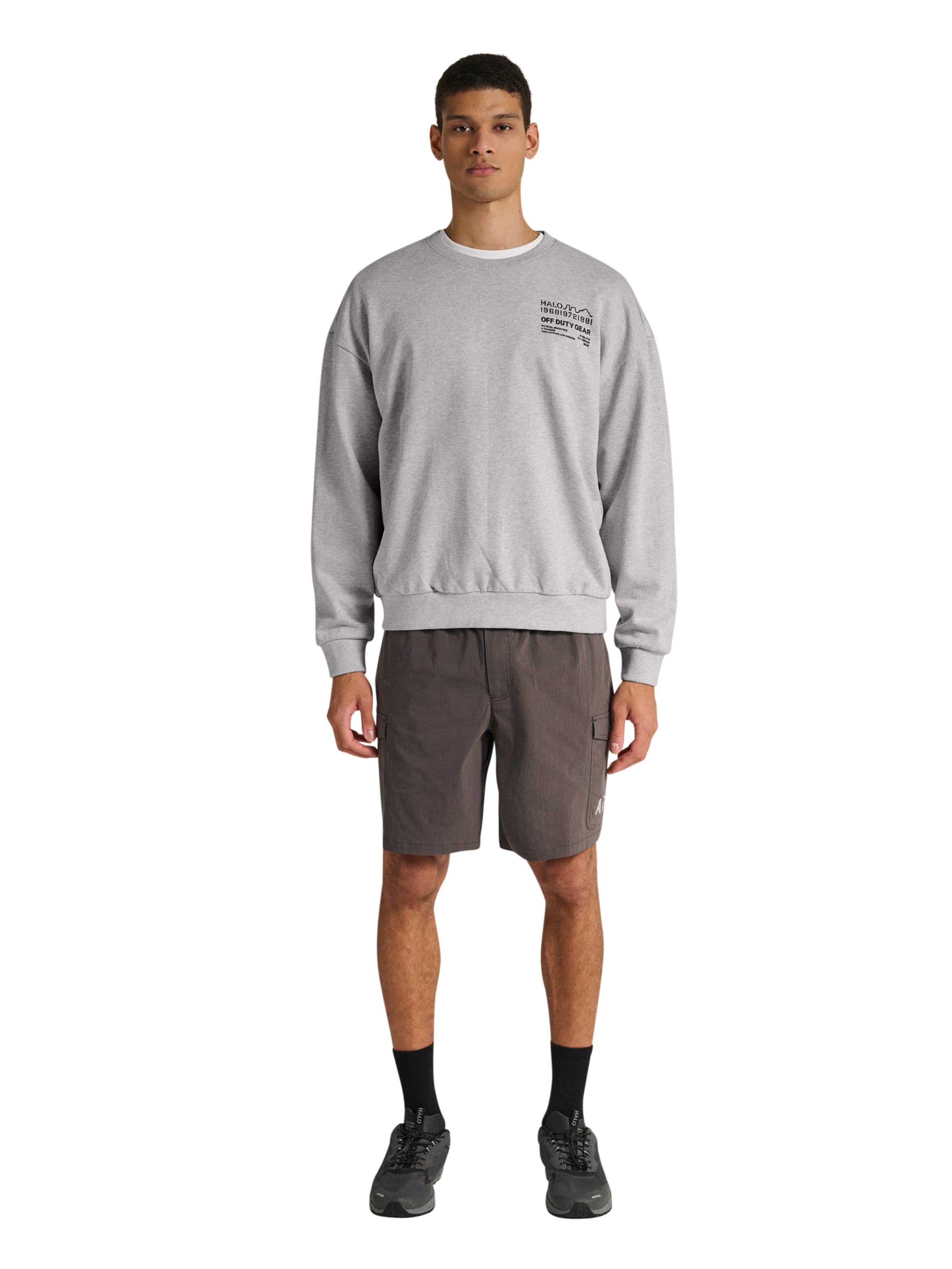 HALO Sweatshirt in Grau