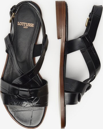 Sandales 'Nylo' LOTTUSSE en noir