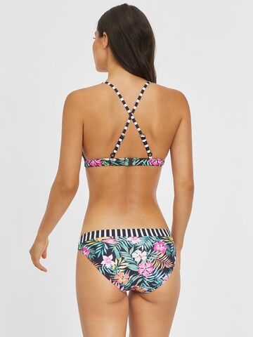 VENICE BEACH Triangel Bikinitop in Schwarz