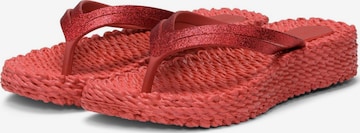 Tongs 'Cheerful13' ILSE JACOBSEN en rouge : devant