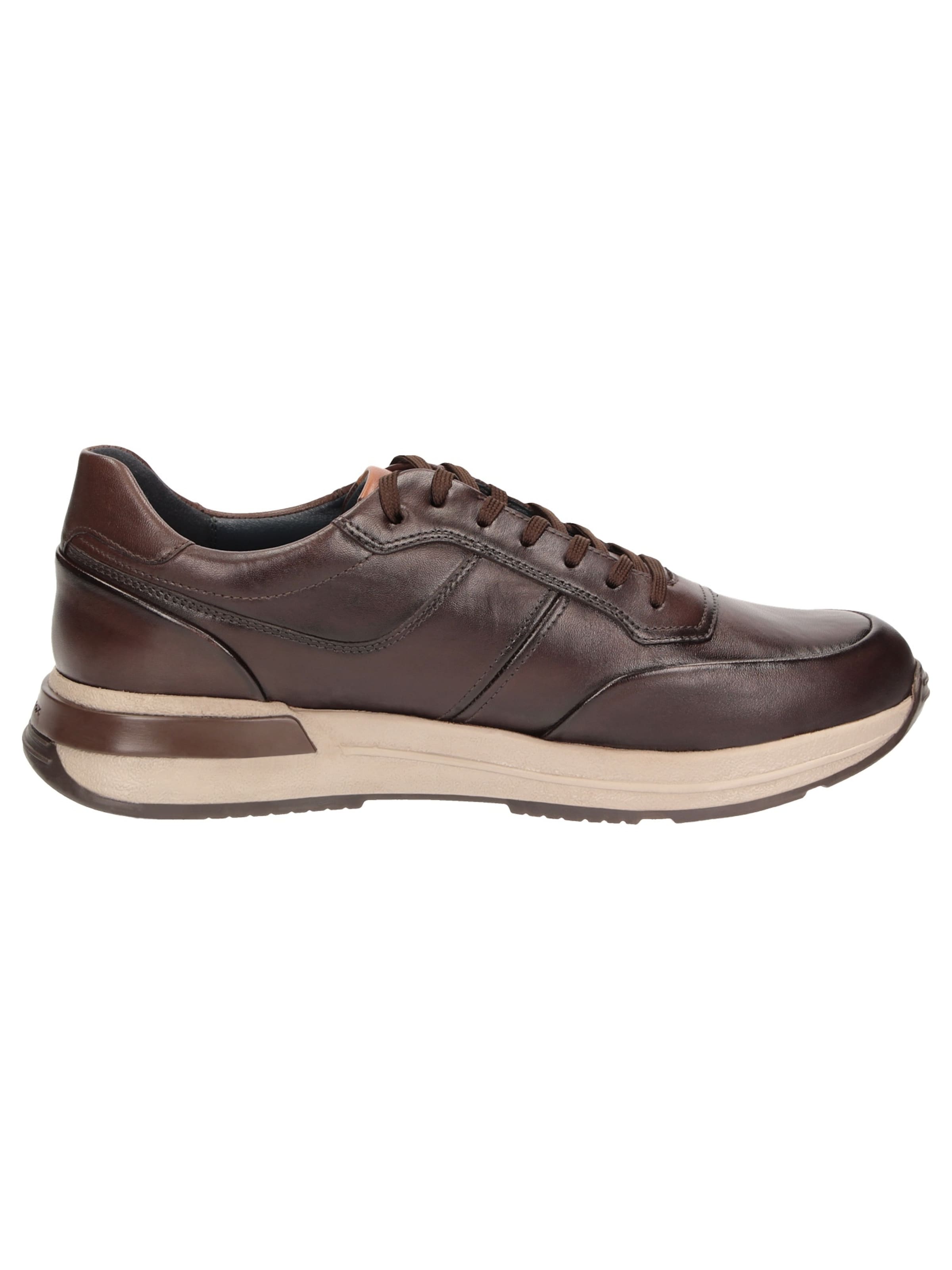 SIOUX Sneakers laag ' Rojaro-720 ' in Bruin