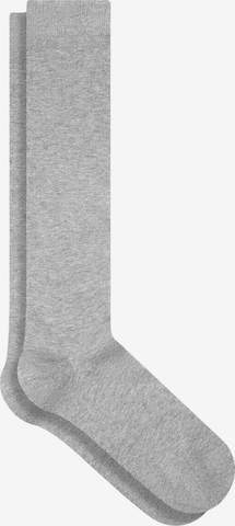 Albero Natur Knee High Socks in Grey: front