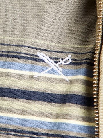 Iriedaily Shirt 'Rayas' in Groen