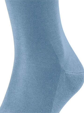 FALKE Knee High Socks 'Tiago' in Blue