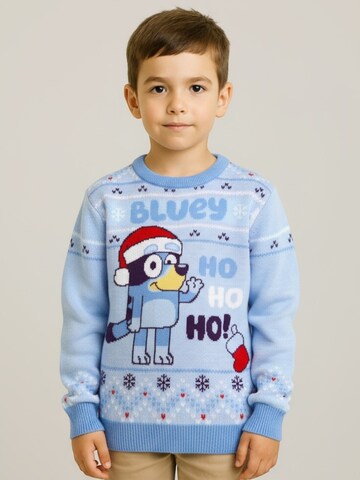 Bluey Sweater in Blue