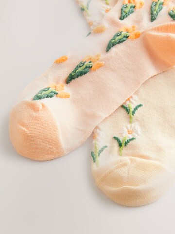 Next Socks in Orange