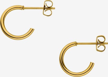 PURELEI Earrings 'Suprise' in Gold: front