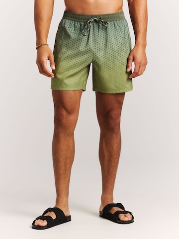 PROTEST Board Shorts 'PRTNorthaw' in Green