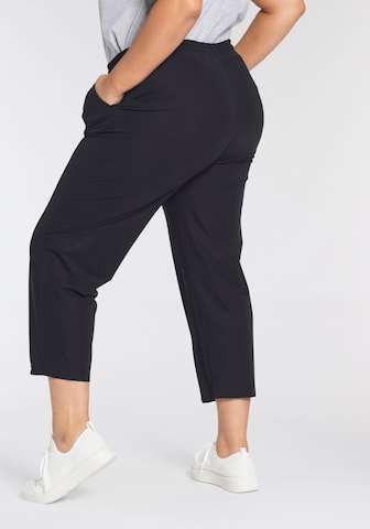 KjBRAND Regular Pants in Black