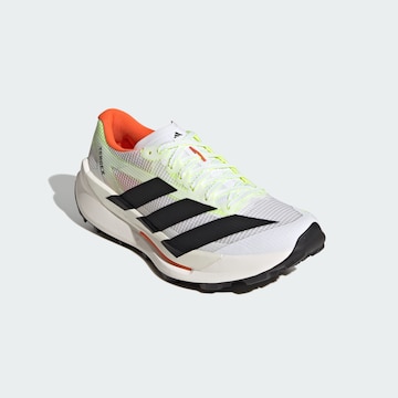 ADIDAS TERREX Running shoe 'Agravic TT' in White