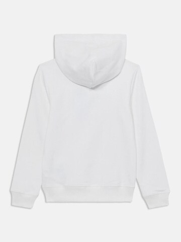 Calvin Klein Sweater in White