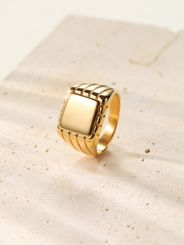 Hey Happiness Ring 'Signet' in Gold