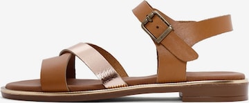 Derimod Sandale in Braun: Vorderseite