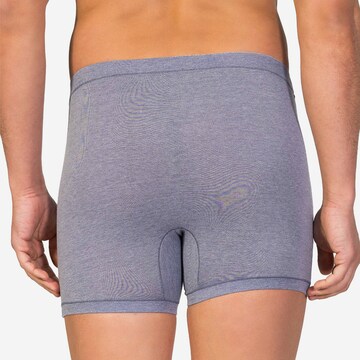 zd ZERO DEFECTS Boxer shorts in Grey
