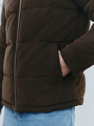 Giacca di mezza stagione di Next in marrone