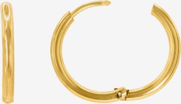 Heideman Earring 'Laeca' in Gold