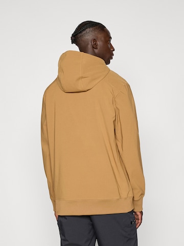 brūns THE NORTH FACE Sportiska tipa džemperis 'TEKNO': no aizmugures