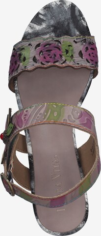 Laura Vita Strap Sandals in Grey