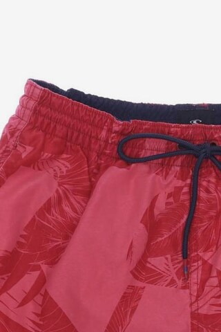 O'NEILL Shorts in 31-32 in Red