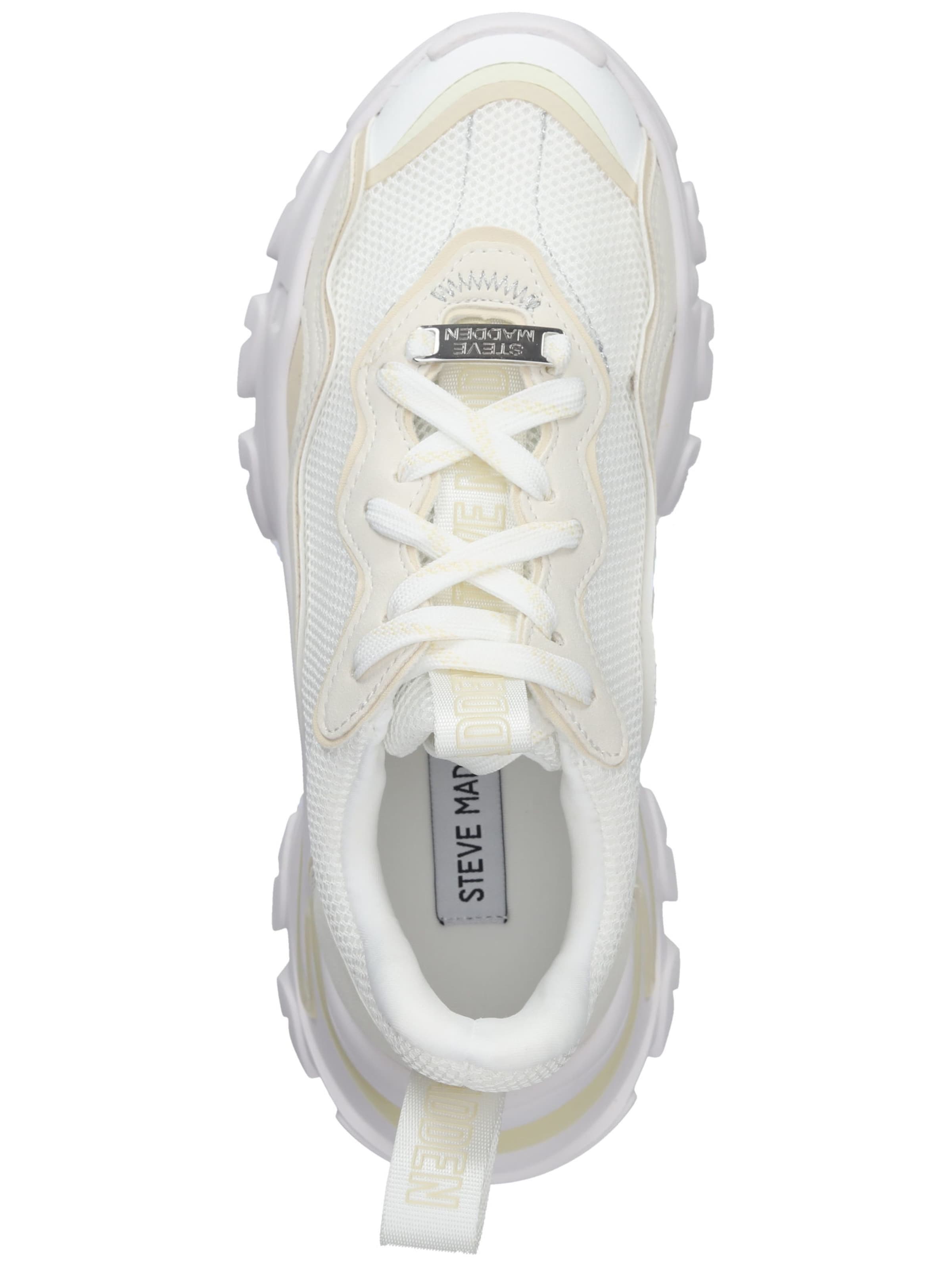 Baskets basses STEVE MADDEN en blanc