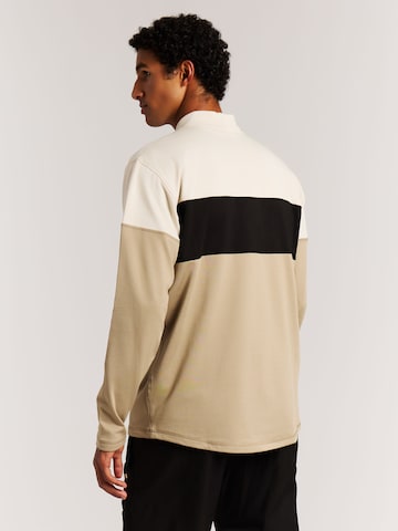 PROTEST Athletic Sweatshirt 'PRTLevin' in Brown